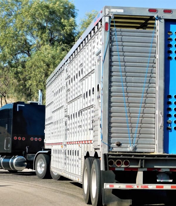 TRUCKING! CATTLE HAULER!!